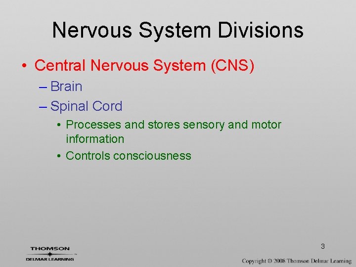 Nervous System Divisions • Central Nervous System (CNS) – Brain – Spinal Cord •