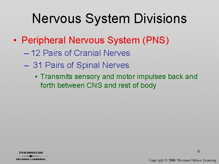 Nervous System Divisions • Peripheral Nervous System (PNS) – 12 Pairs of Cranial Nerves