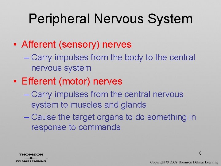 Peripheral Nervous System • Afferent (sensory) nerves – Carry impulses from the body to