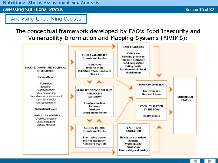 Nutritional Status Assessment and Analysis Assessing Nutritional Status Screen 16 of 32 Analysing Underlying