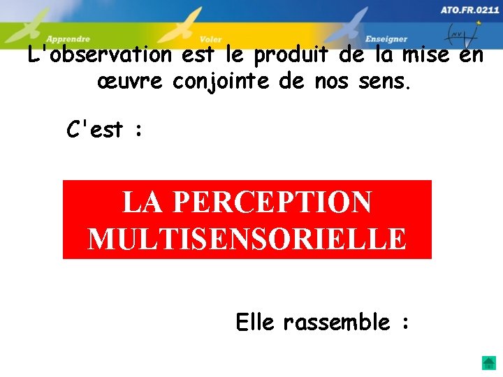 L'observation est le produit de la mise en œuvre conjointe de nos sens. C'est