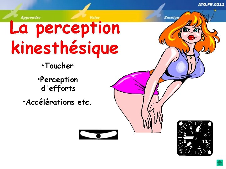 La perception kinesthésique • Toucher • Perception d'efforts • Accélérations etc. 