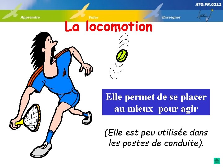 La locomotion Elle permet de se placer au mieux pour agir (Elle est peu