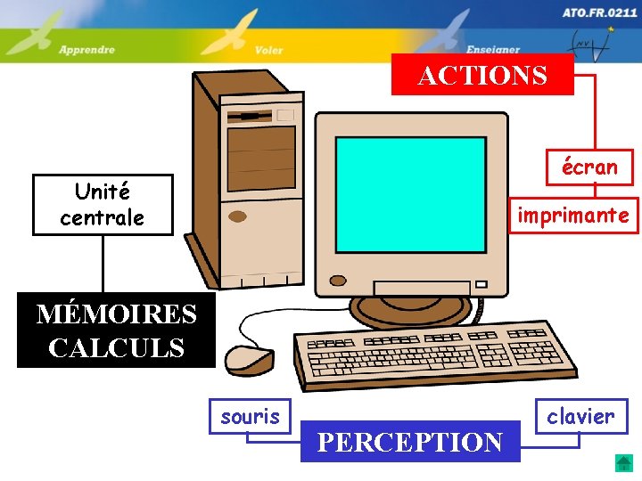 ACTIONS écran Unité centrale imprimante MÉMOIRES CALCULS souris PERCEPTION clavier 