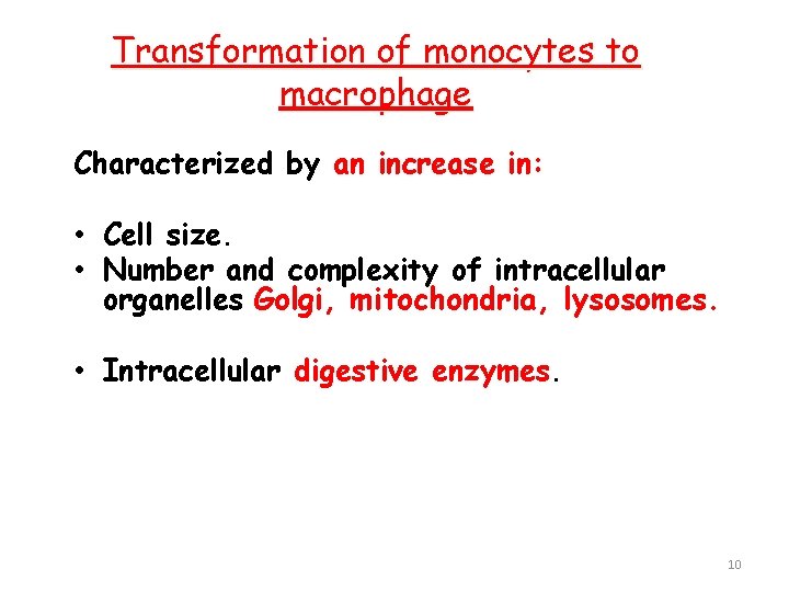 Transformation of monocytes to macrophage Characterized by an increase in: • Cell size. •