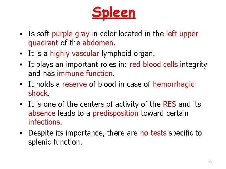 Spleen • Is soft purple gray in color located in the left upper quadrant