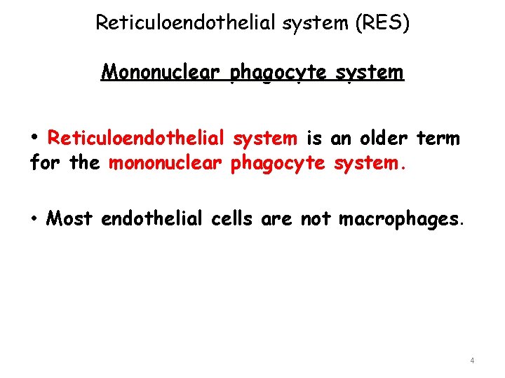 Reticuloendothelial system (RES) Mononuclear phagocyte system • Reticuloendothelial system is an older term for