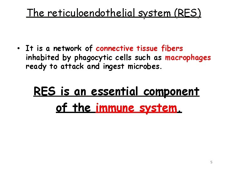 The reticuloendothelial system (RES) • It is a network of connective tissue fibers inhabited
