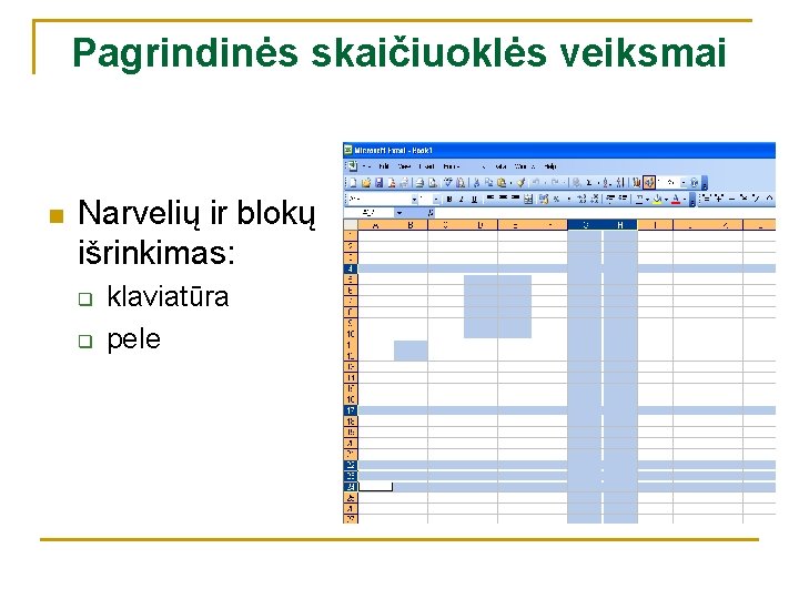 Pagrindinės skaičiuoklės veiksmai n Narvelių ir blokų išrinkimas: q q klaviatūra pele 