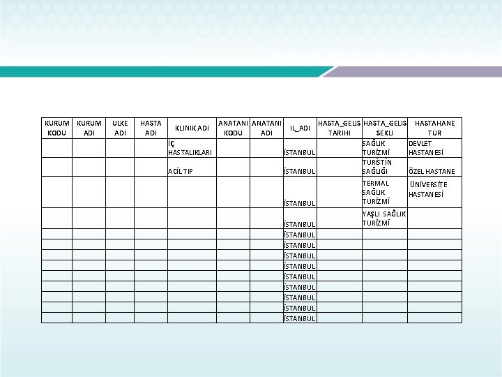 KURUM KODU ADI ULKE ADI HASTA ADI KLINIK ADI ANATANI KODU ADI İÇ HASTALIKLARI