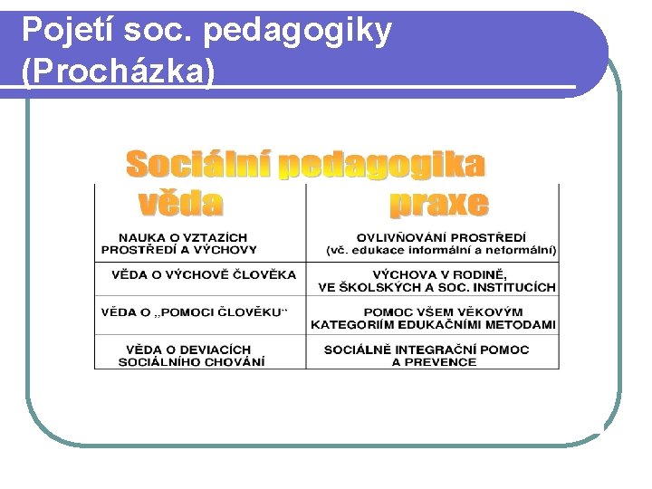 Pojetí soc. pedagogiky (Procházka) 