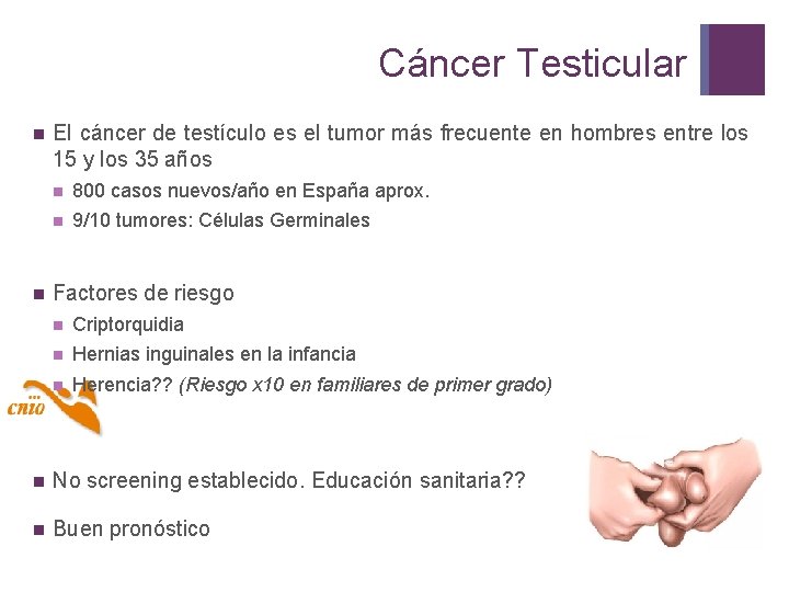 Cáncer Testicular n n El cáncer de testículo es el tumor más frecuente en