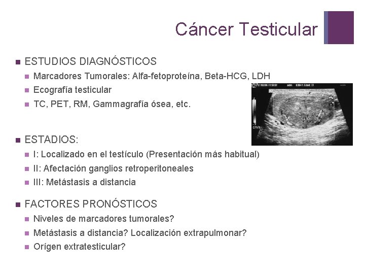 Cáncer Testicular n n n ESTUDIOS DIAGNÓSTICOS n Marcadores Tumorales: Alfa-fetoproteína, Beta-HCG, LDH n