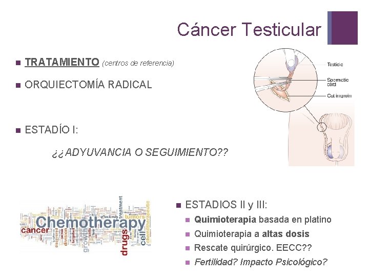 Cáncer Testicular n TRATAMIENTO (centros de referencia) n ORQUIECTOMÍA RADICAL n ESTADÍO I: ¿¿ADYUVANCIA