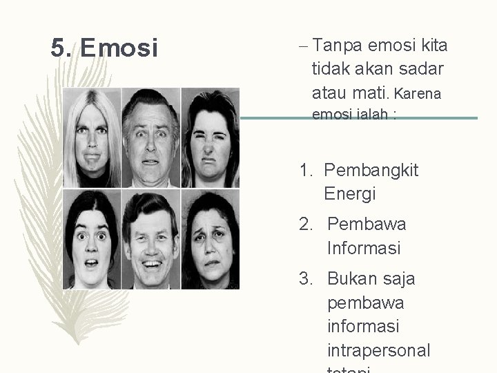 5. Emosi – Tanpa emosi kita tidak akan sadar atau mati. Karena emosi ialah