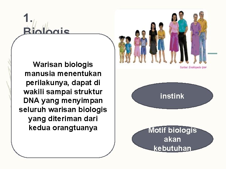 1. Biologis Warisan biologis manusia menentukan perilakunya, dapat di wakili sampai struktur DNA yang