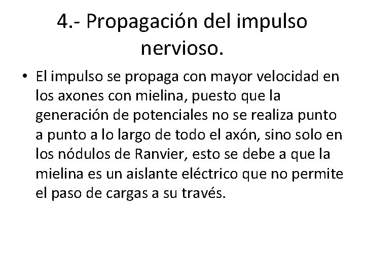 4. - Propagación del impulso nervioso. • El impulso se propaga con mayor velocidad