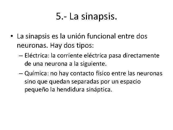 5. - La sinapsis. • La sinapsis es la unión funcional entre dos neuronas.