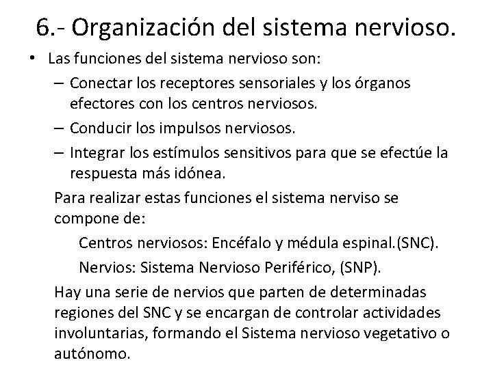 6. - Organización del sistema nervioso. • Las funciones del sistema nervioso son: –