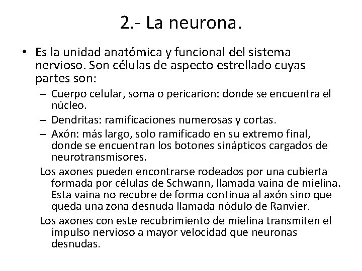 2. - La neurona. • Es la unidad anatómica y funcional del sistema nervioso.