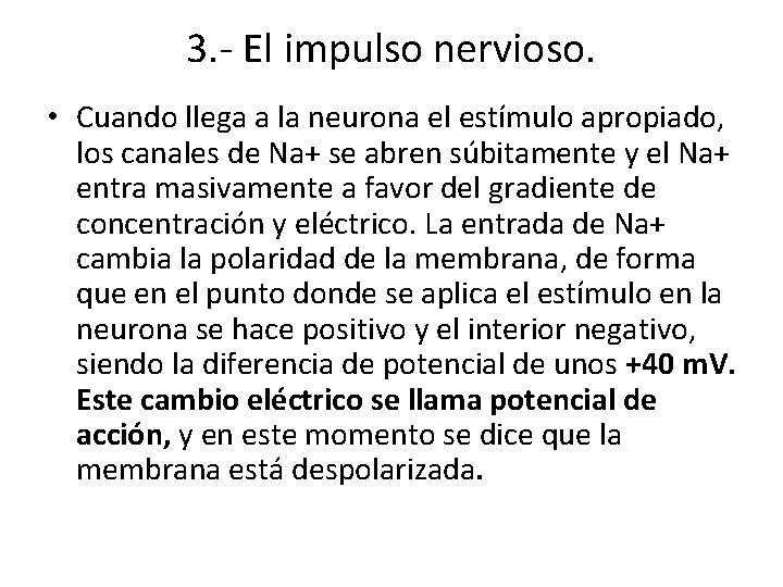 3. - El impulso nervioso. • Cuando llega a la neurona el estímulo apropiado,