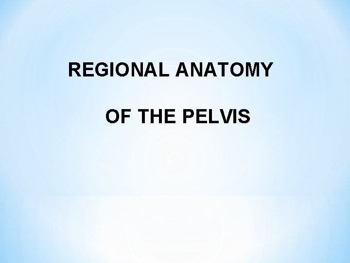 REGIONAL ANATOMY OF THE PELVIS 