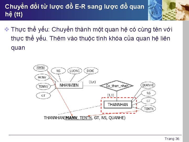 Chuyển đổi từ lược đồ E-R sang lược đồ quan hệ (tt) v Thực
