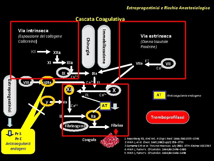 Estroprogestinici e Rischio Anestesiologico Cascata Coagulativa XII Chirurgia (Esposizione del collagene Callicreina) XIIa XI