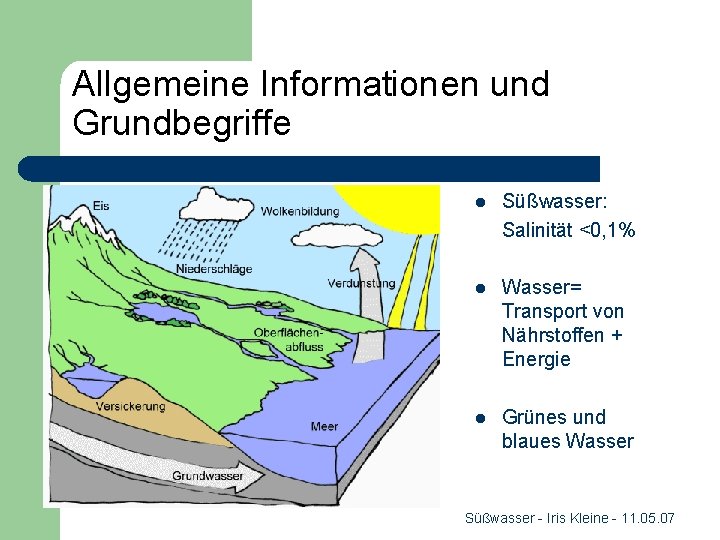 Allgemeine Informationen und Grundbegriffe l Süßwasser: Salinität <0, 1% l Wasser= Transport von Nährstoffen