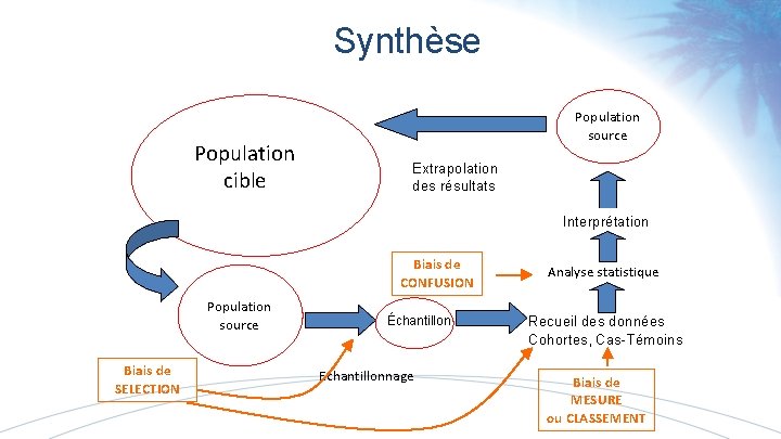 Synthèse Population cible Population source Extrapolation des résultats Interprétation Biais de CONFUSION Population source