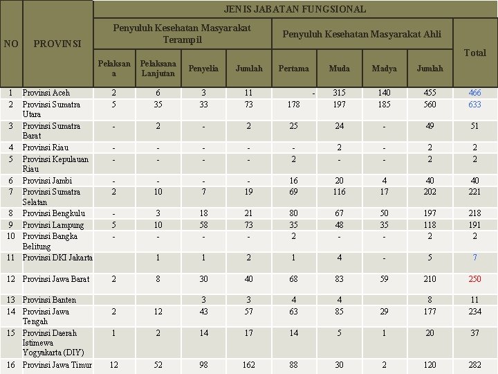 JENIS JABATAN FUNGSIONAL NO Penyuluh Kesehatan Masyarakat Terampil KONDISI SAAT INI PROVINSI Total Pelaksan