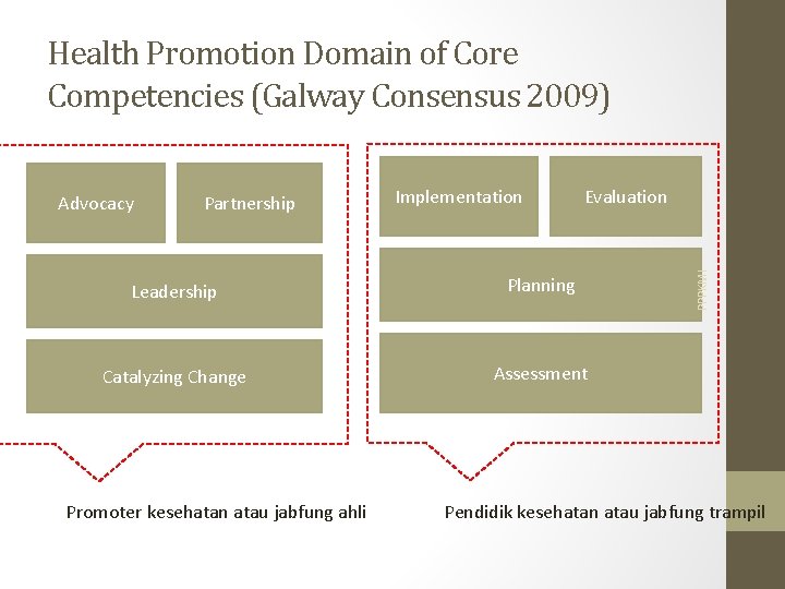 Health Promotion Domain of Core Competencies (Galway Consensus 2009) Partnership Implementation Evaluation Leadership Planning