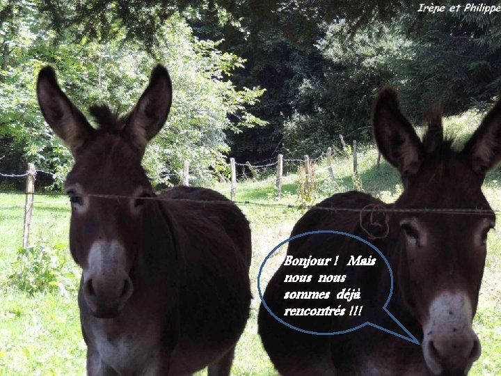 Bonjour ! Mais nous sommes déjà rencontrés !!! 