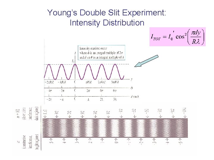Young’s Double Slit Experiment: Intensity Distribution 