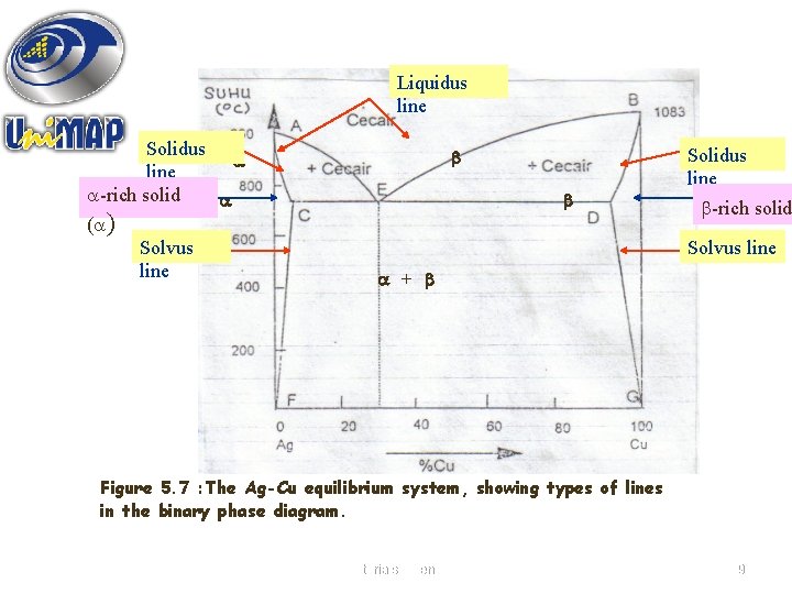 Liquidus line Solidus line -rich solid ( ) Solvus line Solidus line -rich solid