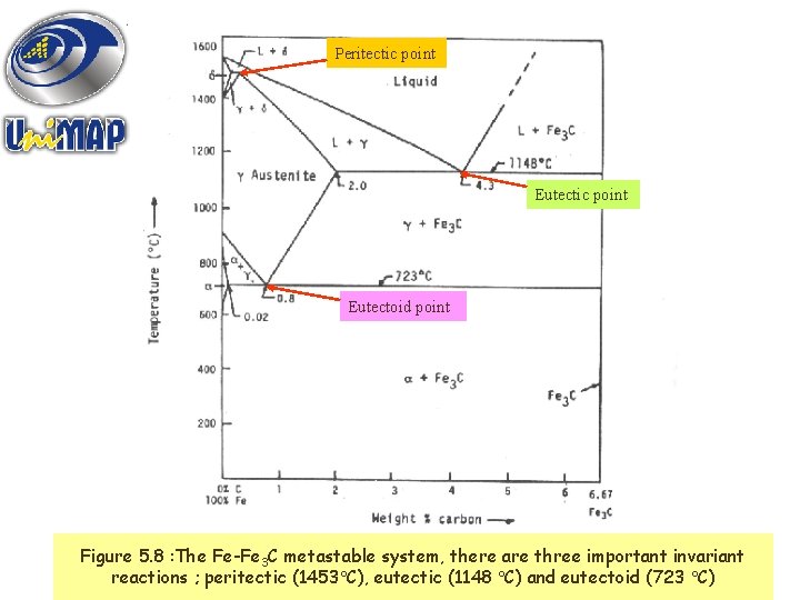 Peritectic point Eutectoid point Figure 5. 8 : The Fe-Fe 3 C metastable system,