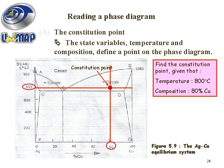 Reading a phase diagram (A) The constitution point The state variables, temperature and composition,