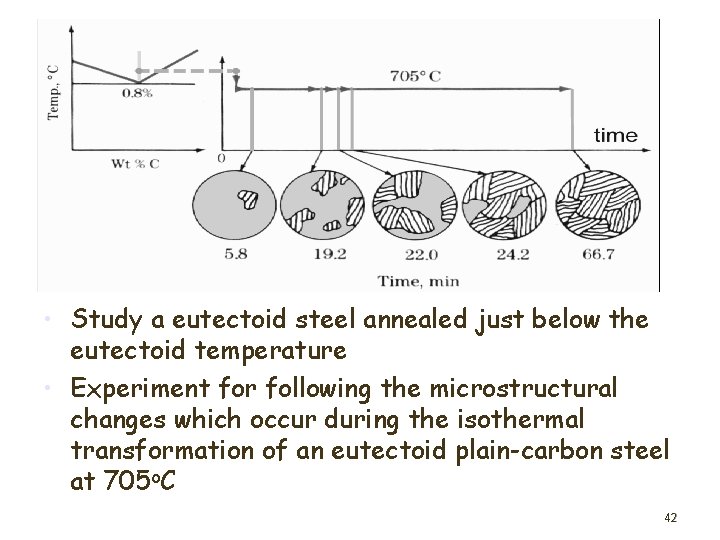  • Study a eutectoid steel annealed just below the eutectoid temperature • Experiment