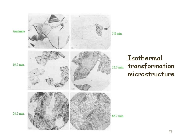 Isothermal transformation microstructure 43 