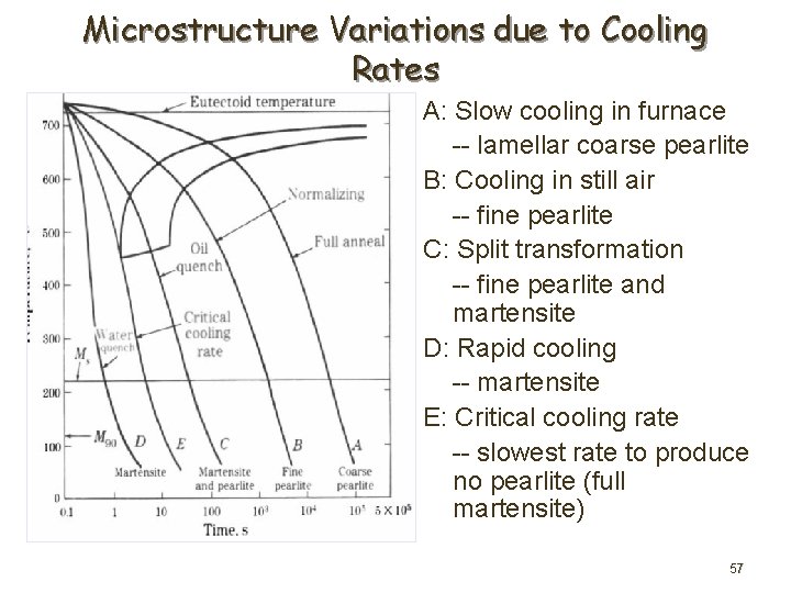 Microstructure Variations due to Cooling Rates A: Slow cooling in furnace -- lamellar coarse