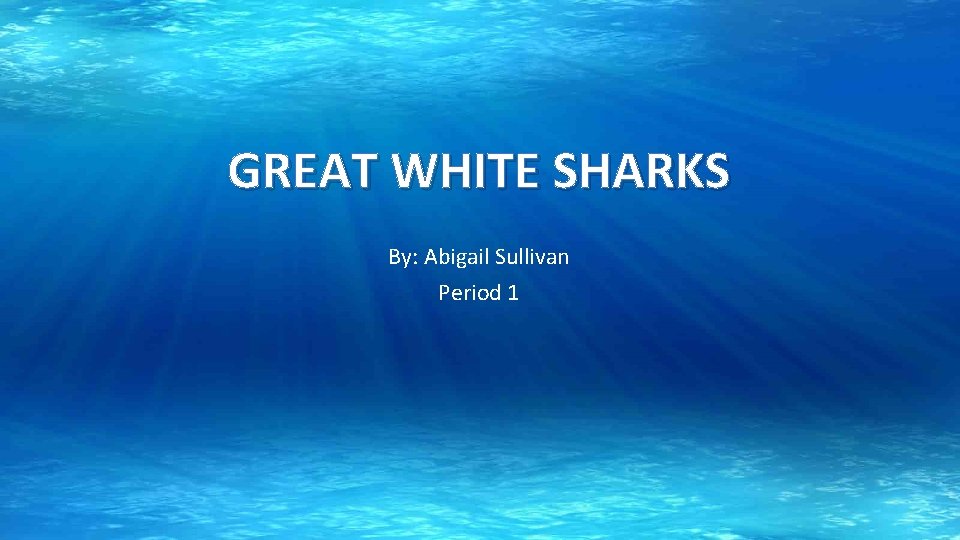 GREAT WHITE SHARKS By: Abigail Sullivan Period 1 