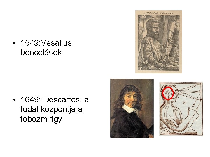  • 1549: Vesalius: boncolások • 1649: Descartes: a tudat központja a tobozmirigy 