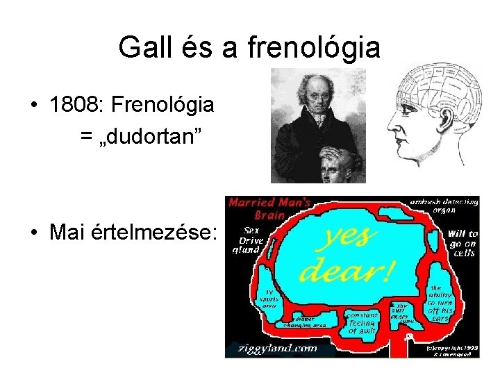 Gall és a frenológia • 1808: Frenológia = „dudortan” • Mai értelmezése: 