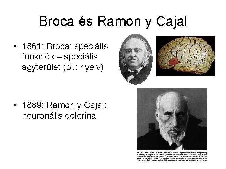 Broca és Ramon y Cajal • 1861: Broca: speciális funkciók – speciális agyterület (pl.