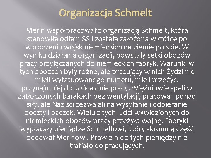 Organizacja Schmelt Merin współpracował z organizacją Schmelt, która stanowiła odłam SS i została założona