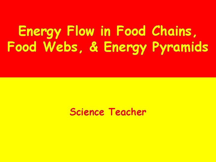 Energy Flow in Food Chains, Food Webs, & Energy Pyramids Science Teacher 
