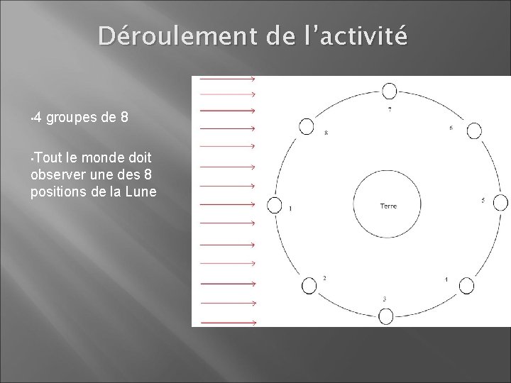 Déroulement de l’activité • 4 groupes de 8 • Tout le monde doit observer