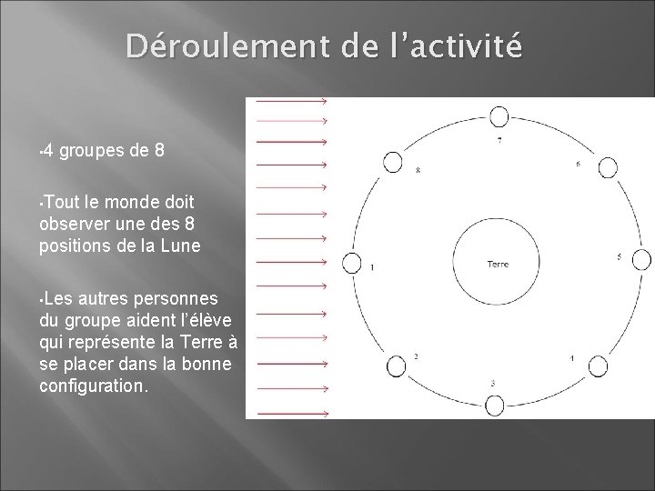 Déroulement de l’activité • 4 groupes de 8 • Tout le monde doit observer