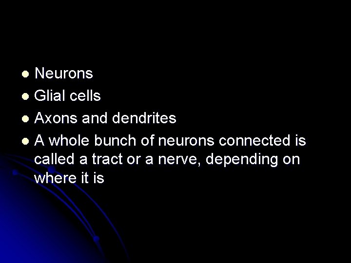 Neurons l Glial cells l Axons and dendrites l A whole bunch of neurons