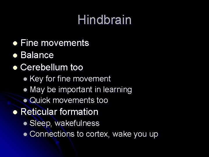 Hindbrain Fine movements l Balance l Cerebellum too l l Key for fine movement